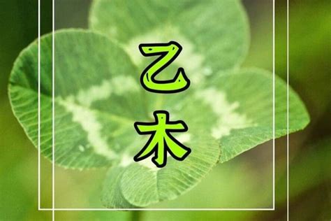 乙木 女|基础知识︱十天干系列之乙木︱男女性格特征、爱情观、适合的职业